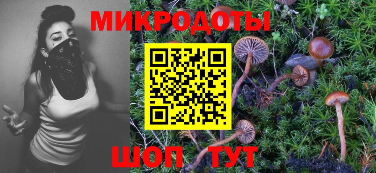 Россошь  купить   Галлюциногенные грибы GOLDEN TEACHER  Вход с VPN  Галлюциногенные грибы ЛСД 
