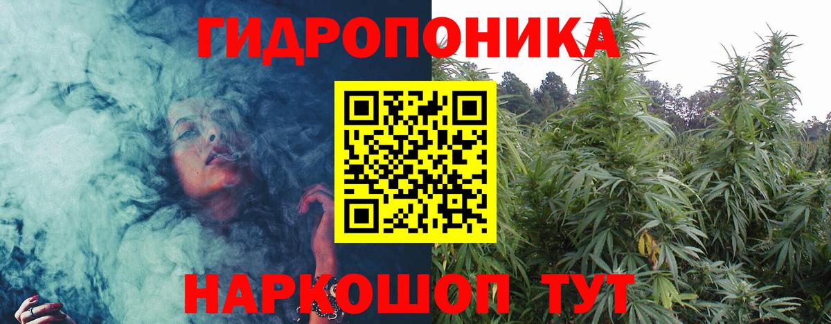 Россошь  Канабис сатива  Вход с VPN  Бошки Шишки индика 